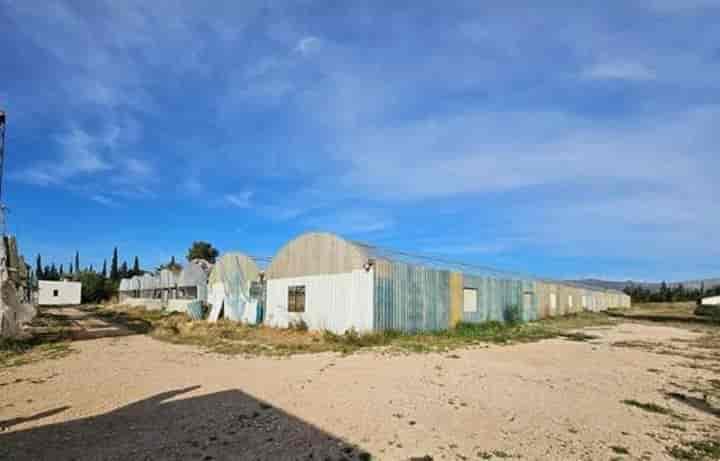 House for sale in LAmpolla, Spain