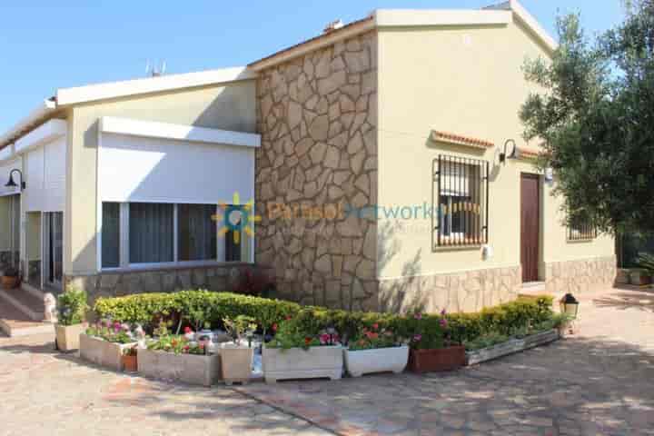 4 bedrooms house for rent in Oliva, Spain