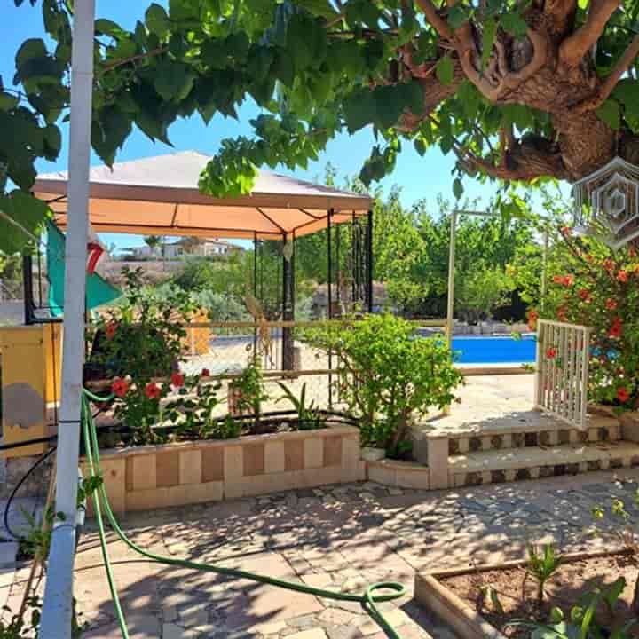 3 bedrooms house for sale in Novelda, Spain