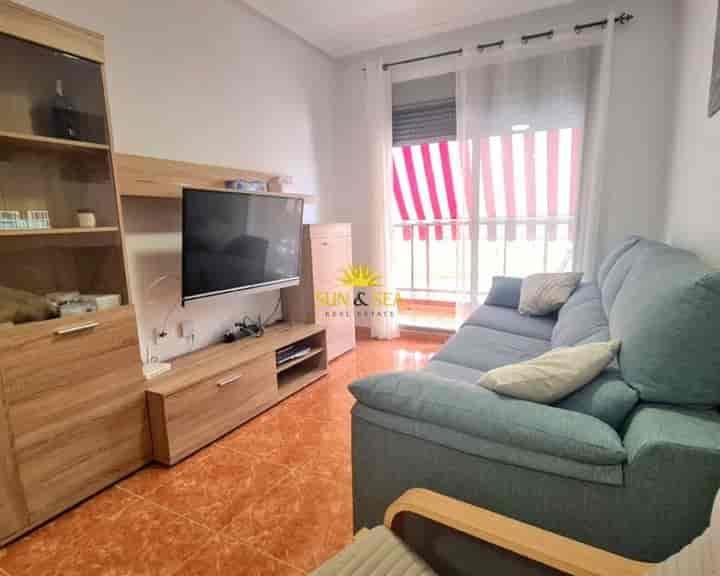 1 bedroom apartment for rent in Zona Pueblo, Spain