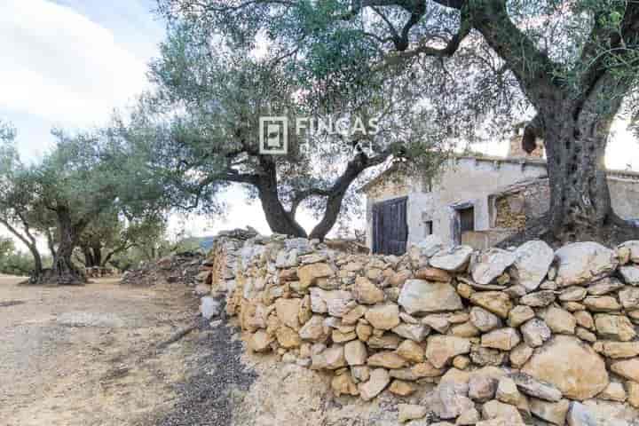 1 bedroom house for sale in Tortosa, Spain