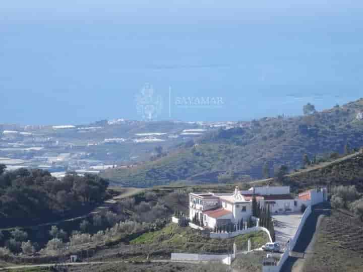 5 bedrooms house for sale in Sayalonga, Spain