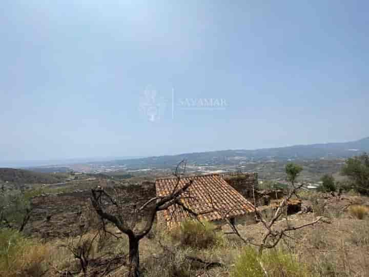 1 bedroom house for sale in Velez-Malaga, Spain