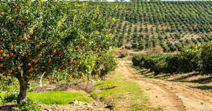 5 bedrooms house for sale in El Secadero, Spain