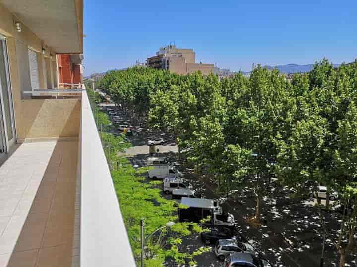 2 bedrooms apartment for rent in Oliva pueblo, Spain