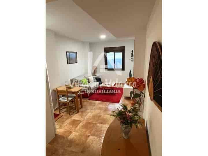 1 bedroom apartment for rent in La Axarquia, Spain