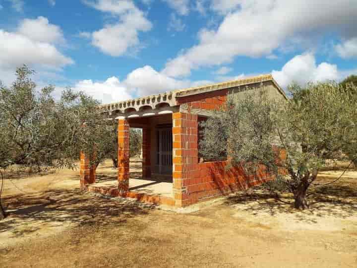 3 bedrooms house for sale in Albacete, Spain