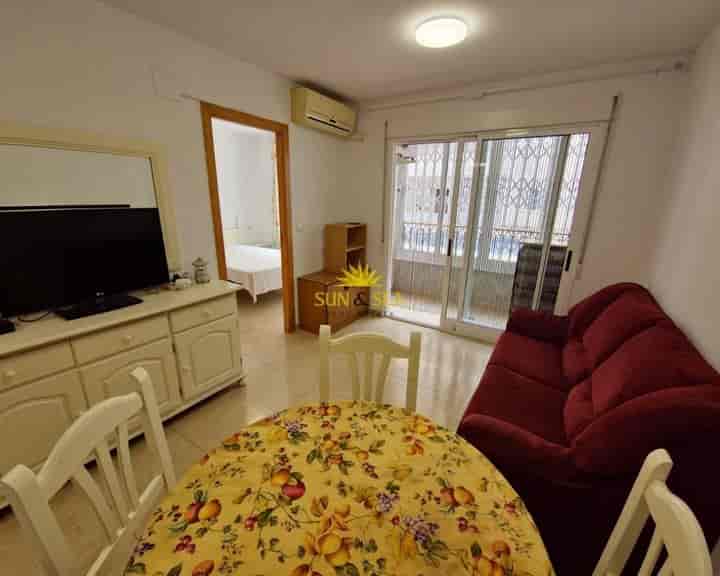 1 bedroom apartment for rent in El Molino, Spain