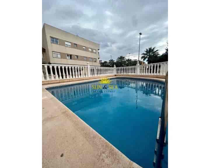 2 bedrooms apartment for rent in Rojales, Spain