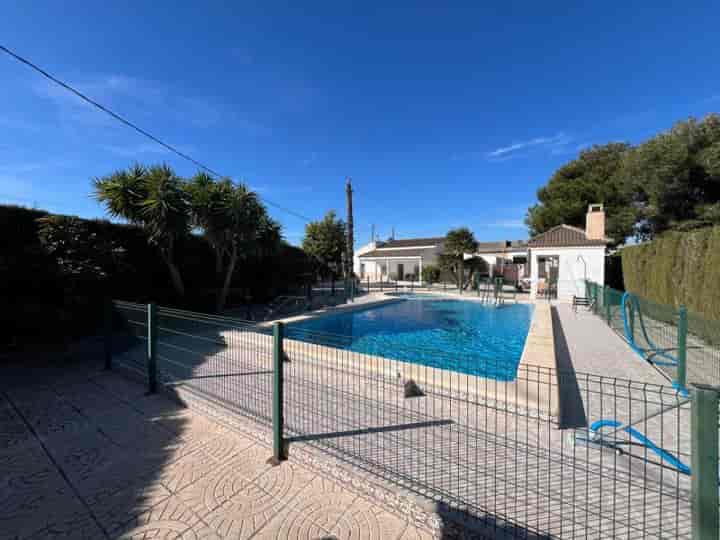 4 bedrooms house for sale in Dolores, Spain