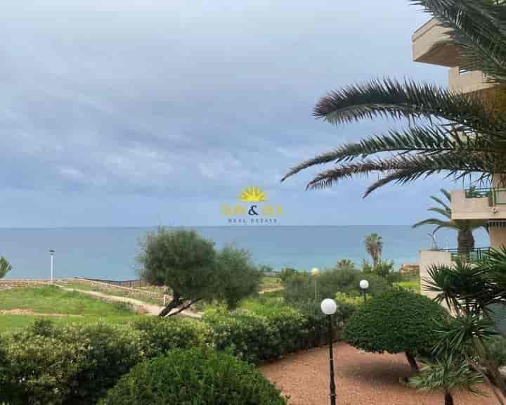 1 bedroom apartment for rent in Orihuela Costa, Spain