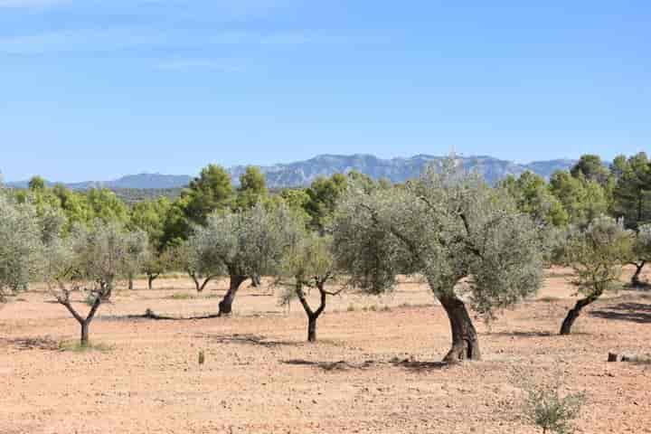 House for sale in Arens de Lledo, Spain