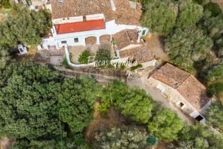 4 bedrooms house for sale in Alaior, Spain