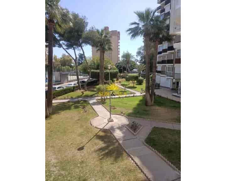 1 bedroom apartment for rent in Campoamor, Spain