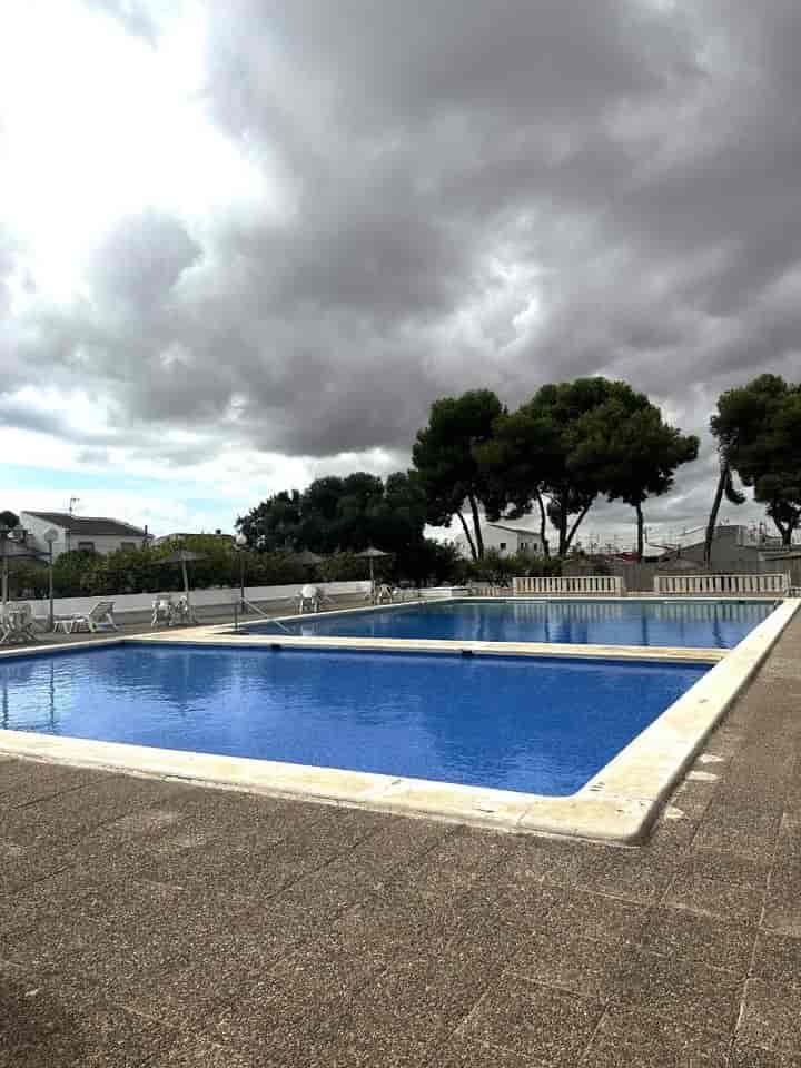 2 bedrooms house for rent in La Siesta - El Salado - Torreta, Spain