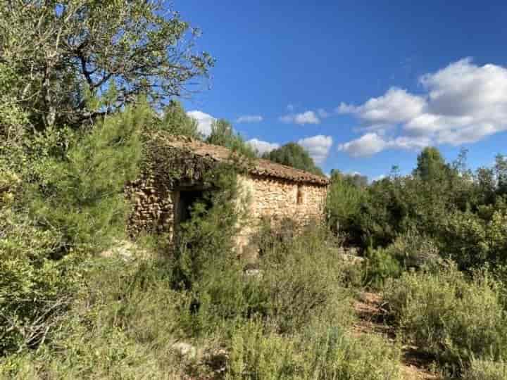 1 bedroom house for sale in Castellon, Spain