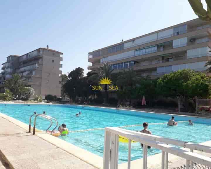 1 bedroom apartment for rent in Guardamar del Segura, Spain