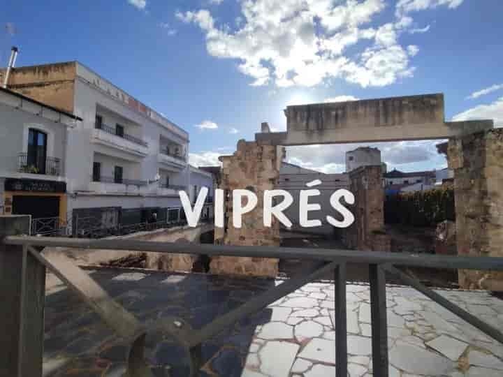 13 bedrooms house for sale in Merida, Spain