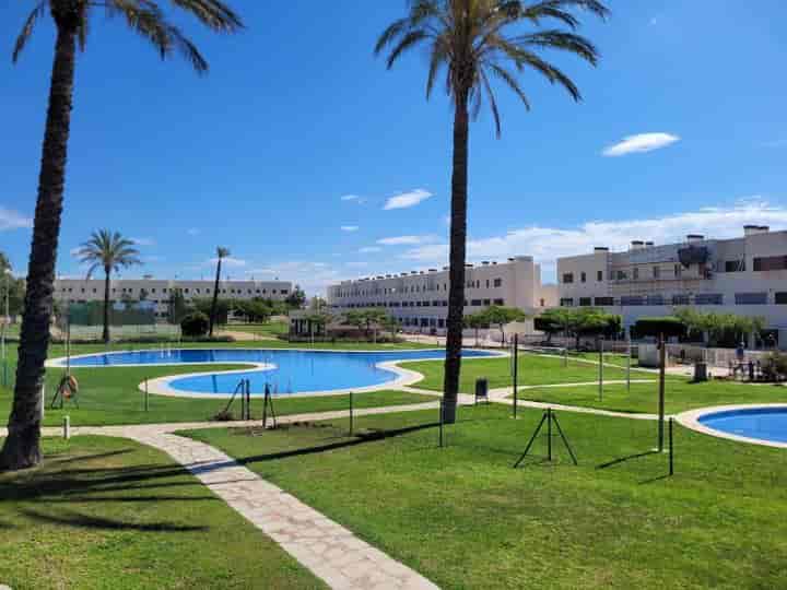 1 bedroom apartment for rent in San Jorge, Spain