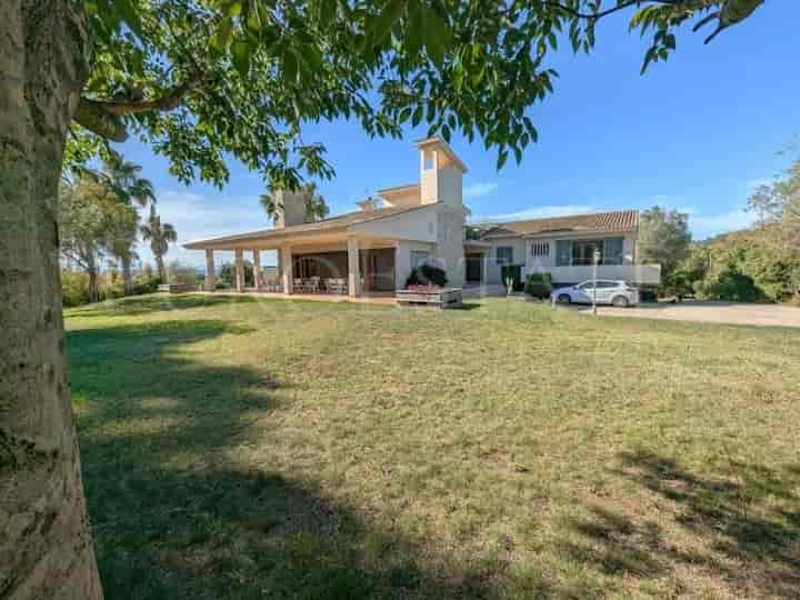 6 bedrooms house for sale in Manacor, Spain