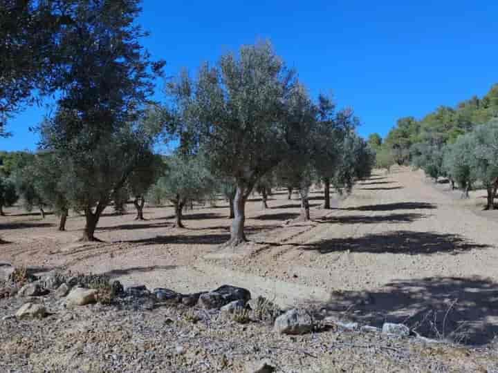 House for sale in Arens de Lledo, Spain