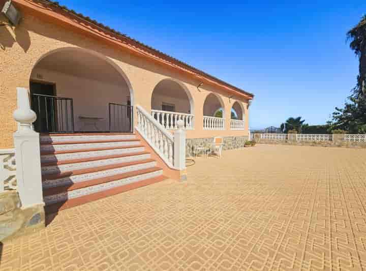 5 bedrooms other for sale in Algorfa, Spain