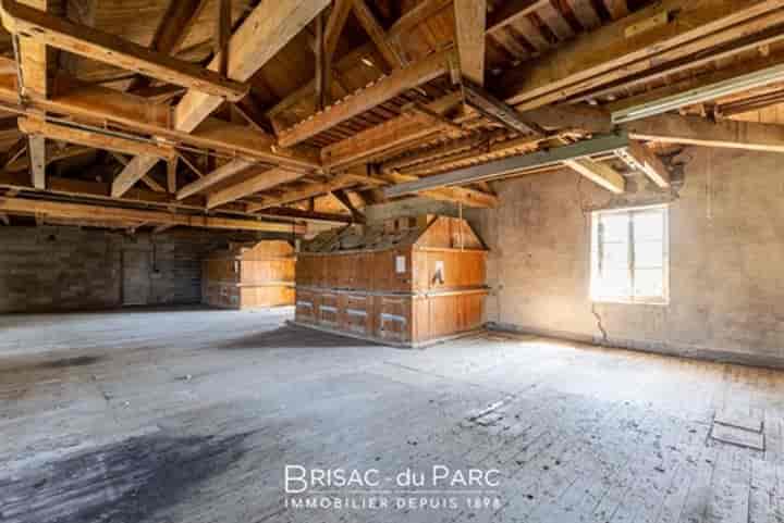 Other for sale in Saint-Jean-de-Losne, France