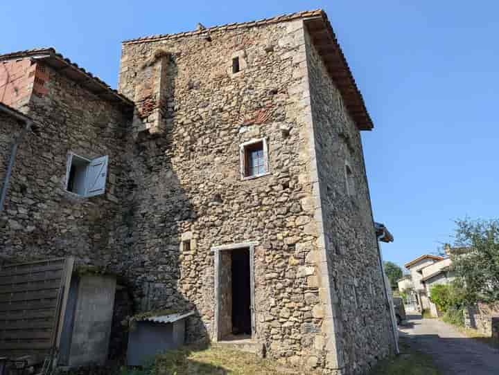 House for sale in MONTJOIE EN COUSERANS, France