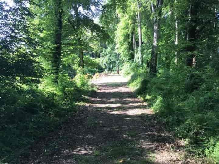 14 bedrooms house for sale in Brizay, France