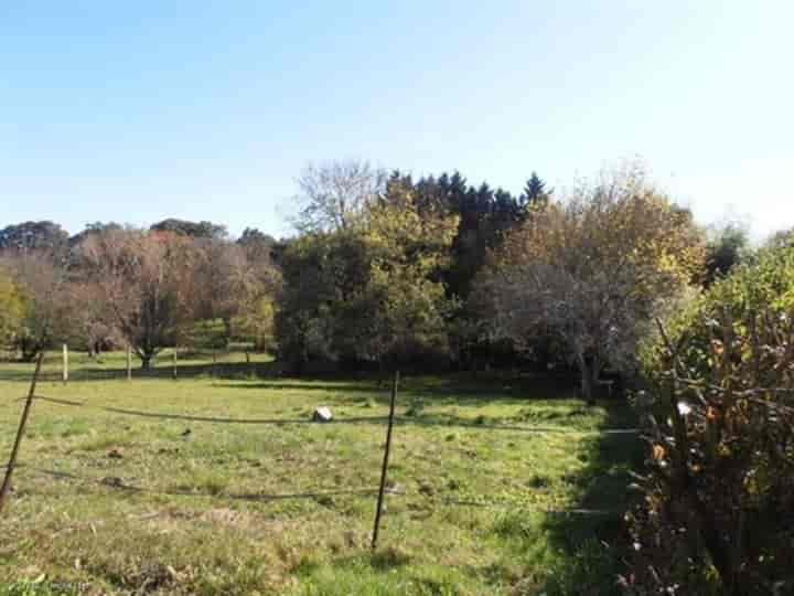 3 bedrooms house for sale in La Chapelle-Pouilloux, France