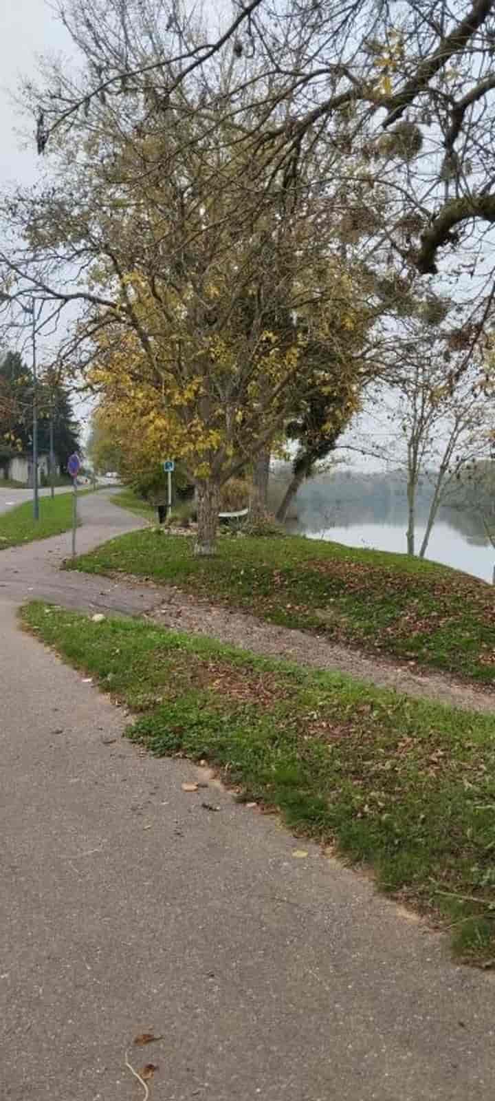 4 bedrooms house for sale in Millery, France