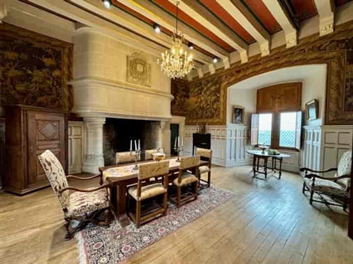12 bedrooms house for sale in Buzancais, France