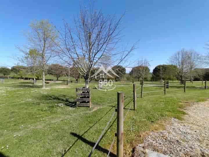 6 bedrooms house for sale in Sigalens, France