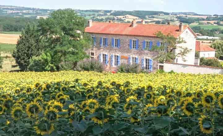 7 bedrooms house for sale in MONTPEZAT DE QUERCY, France