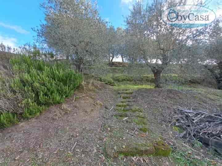 Other for sale in Oriolo Romano, Italy