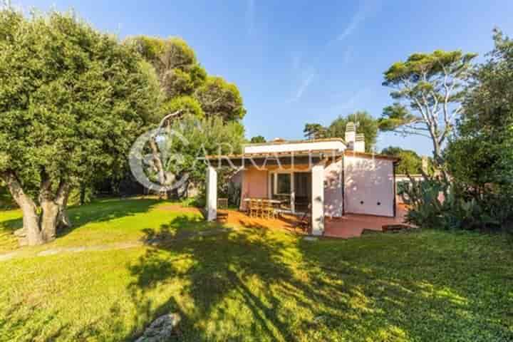 4 bedrooms house for sale in Orbetello, Italy