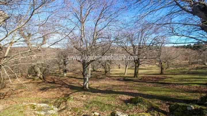12 bedrooms house for sale in Arcidosso, Italy
