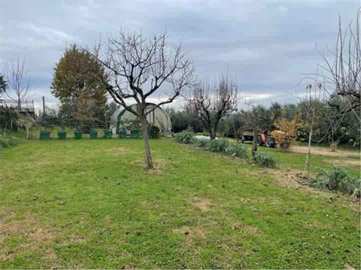 6 bedrooms house for sale in Arezzo, Italy