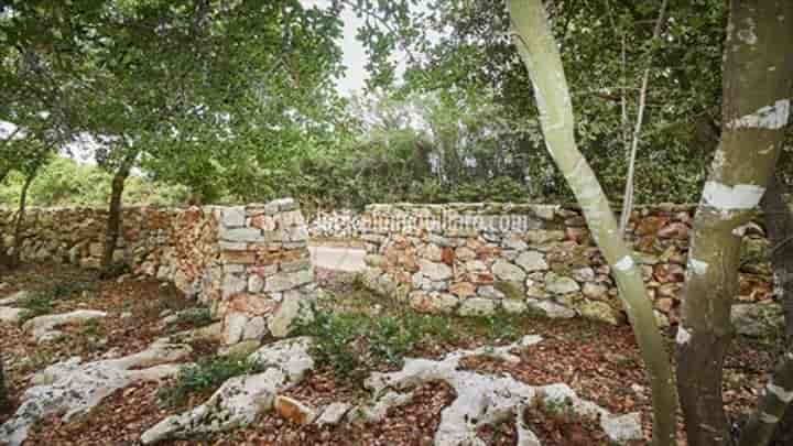 3 bedrooms house for sale in Spongano, Italy