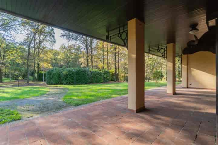 6 bedrooms other for sale in Borgo Ticino, Italy