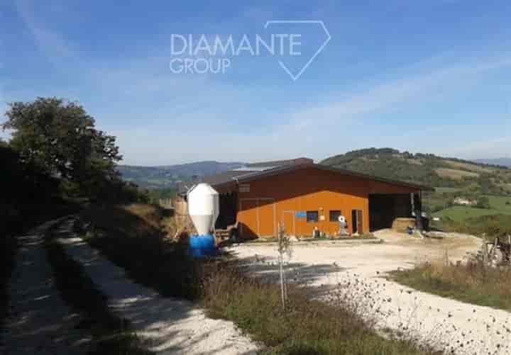 Other for sale in Valfabbrica, Italy