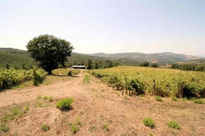 House for sale in Scansano, Italy