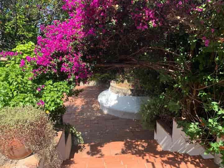 4 bedrooms house for sale in Anacapri, Italy