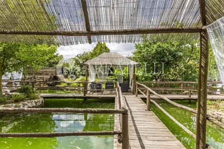 6 bedrooms house for sale in Pitigliano, Italy