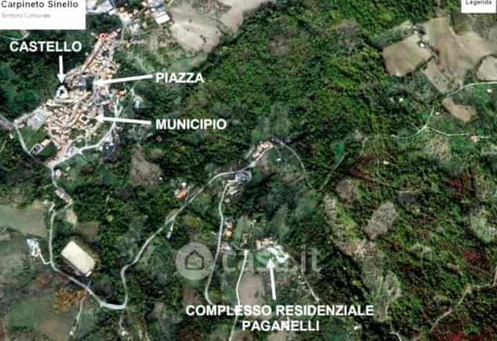 5 bedrooms other for sale in Carpineto Sinello, Italy