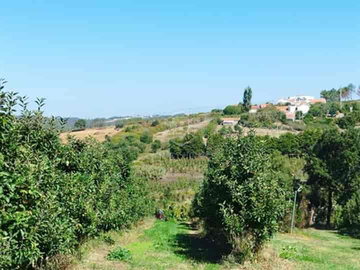 Other for sale in Benedita, Portugal