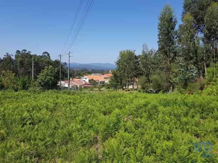 Other for sale in Reboreda e Nogueira, Portugal