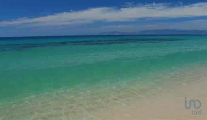 3 bedrooms house for sale in Brejo da Carregueira de Baixo, Portugal