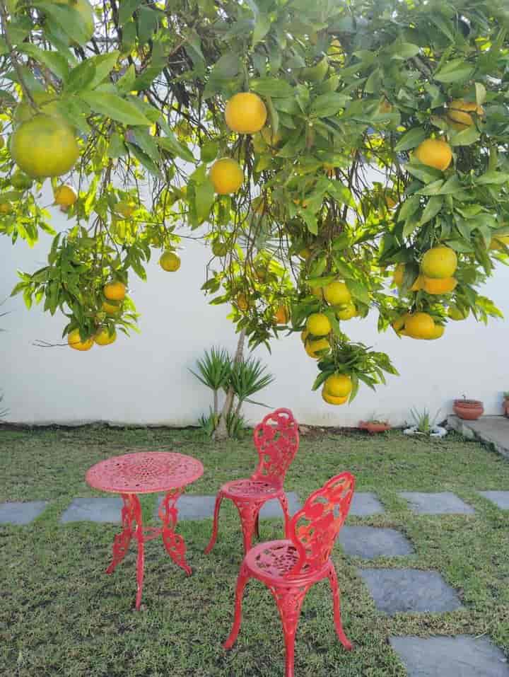 3 bedrooms house for sale in Azinhaga, Portugal