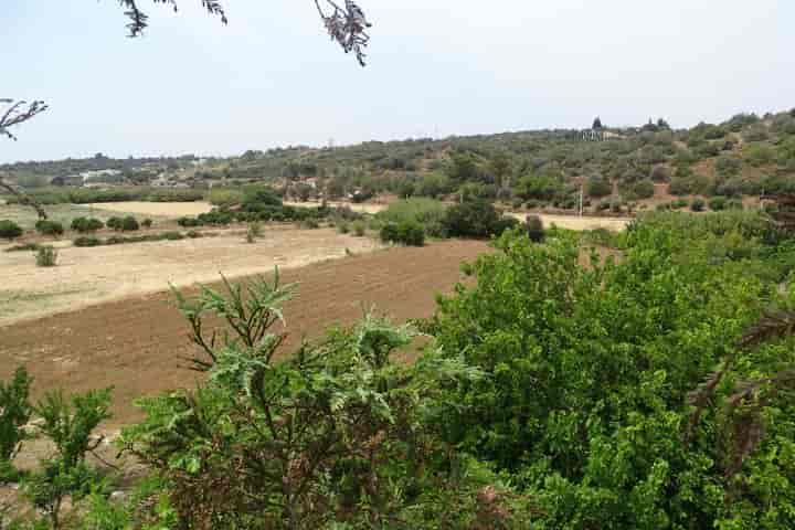 Other for sale in Mexilhoeira Grande, Portugal